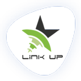 linkup networks logo
